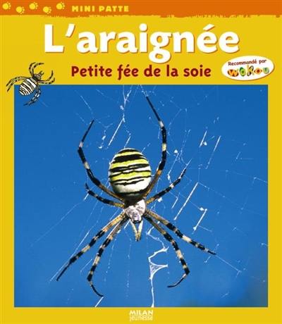 L'araignée : petite fée de la soie