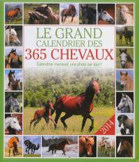 Le grand calendrier des 365 chevaux 2014 : calendrier mensuel, une photo par jour !