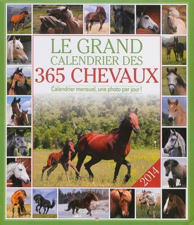 Le grand calendrier des 365 chevaux 2014 : calendrier mensuel, une photo par jour !