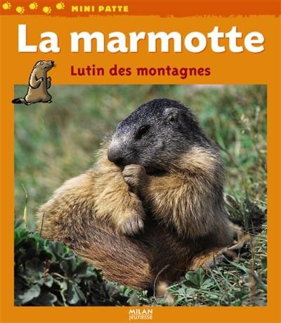 La marmotte : lutin des montagnes