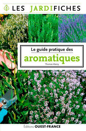 Le guide pratique des aromatiques