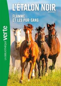 L'étalon noir. Vol. 11. Flamme et les pur-sang