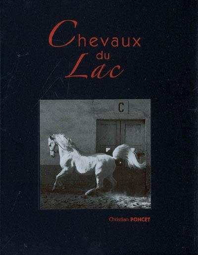 Chevaux du lac