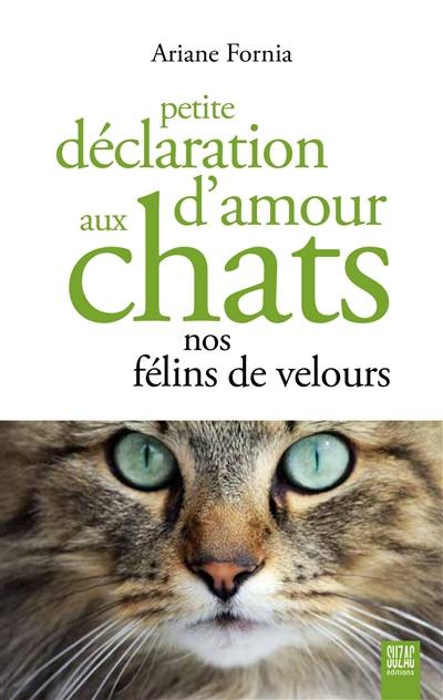 Petite déclaration d'amour aux chats : nos félins de velours