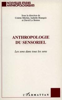 Anthropologie du sensoriel : les sens dans tous les sens