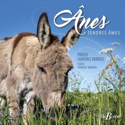 Anes : tendres âmes