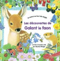 Les découvertes de Galant le faon