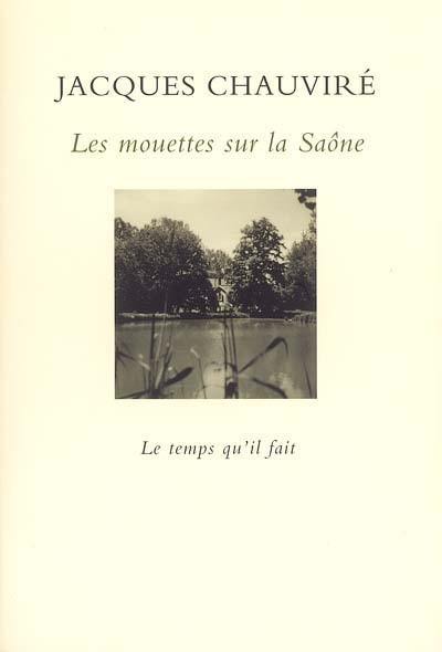 Les mouettes sur la Saône