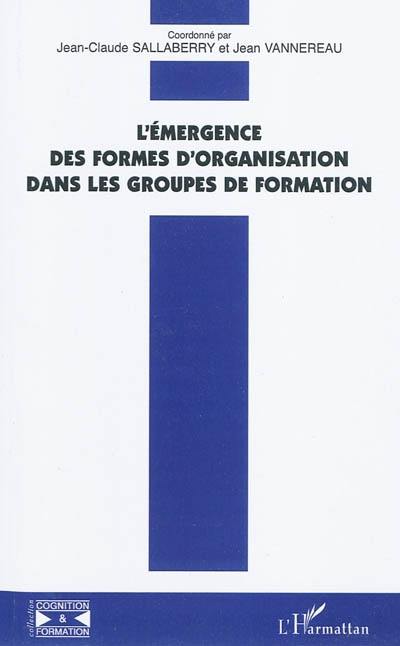 L'émergence des formes d'organisation dans les groupes de formation