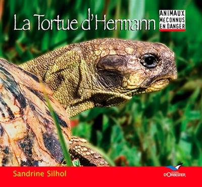 La tortue d'Hermann