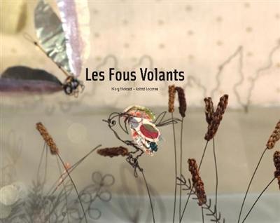 Les fous volants