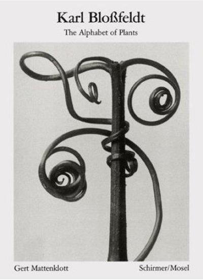 Karl Blossfeldt Alphabet der Pflanzen