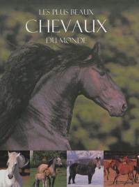 Les plus beaux chevaux du monde