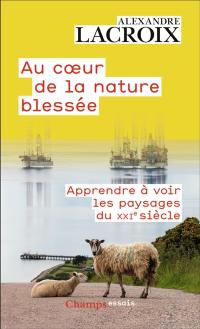 Au coeur de la nature blessée : apprendre à voir les paysages du XXIe siècle : essai