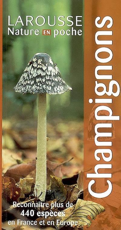 Champignons : reconnaître plus de 440 espèces en France et en Europe