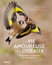 La vie amoureuse des oiseaux : étonnantes stratégies de reproduction