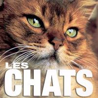 Les chats