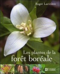 Les plantes de la forêt boréale