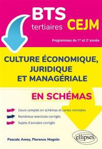 BTS tertiaires, CEJM, culture économique, juridique et managériale en schémas : programmes de 1re et 2e année