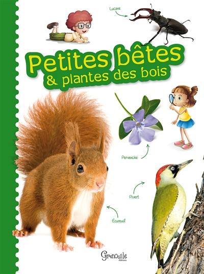 Petites bêtes & plantes des bois