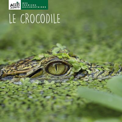 Le crocodile