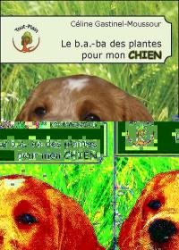 Le b.a.-ba des plantes pour mon chien