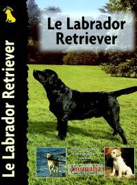 Le labrador retriever