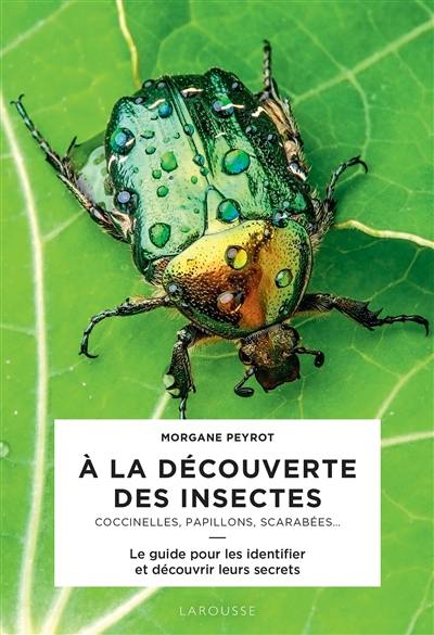 A la découverte des insectes : coccinelles, papillons, scarabées... : le guide pour les identifier et découvrir leurs secrets