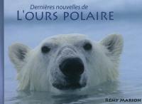 Dernières nouvelles de l'ours polaire