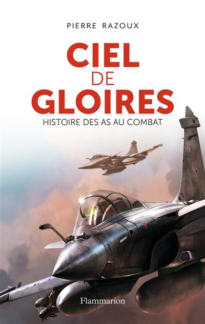 Ciel de gloires : histoire des as au combat