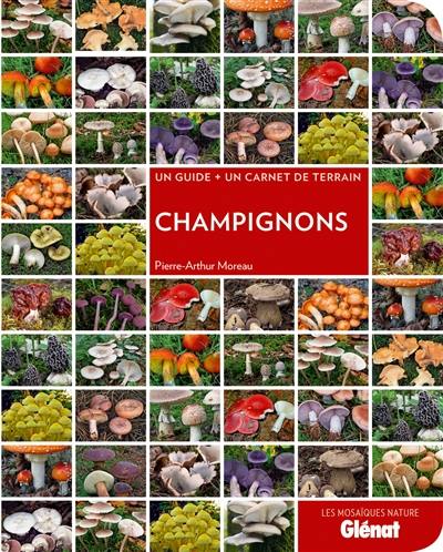 Champignons : un guide + un carnet de terrain