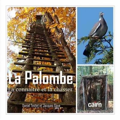 La palombe : la connaître et la chasser