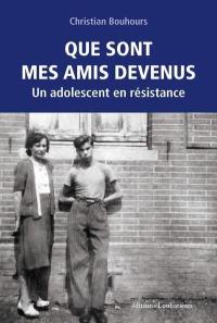 Que sont mes amis devenus : un adolescent en résistance