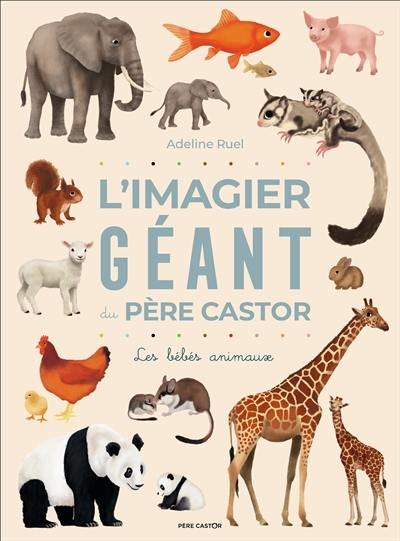 L'imagier géant du Père Castor : les bébés animaux