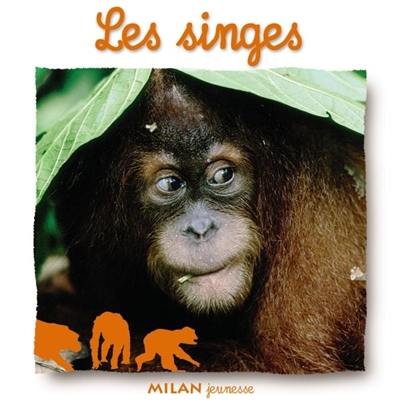 Les singes