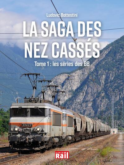 La saga des nez cassés. Vol. 1. Les séries des BB