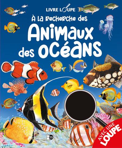 A la recherche des animaux des océans