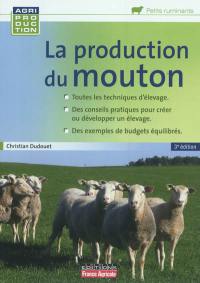 La production du mouton