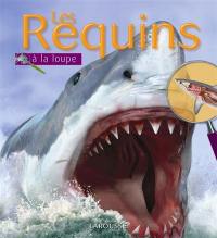 Les requins