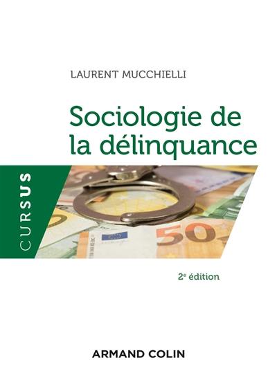 Sociologie de la délinquance