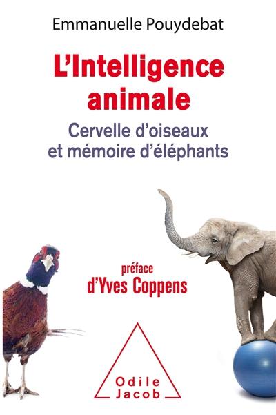 L'intelligence animale : cervelle d'oiseaux et mémoire d'éléphants