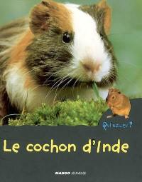 Le cochon d'Inde