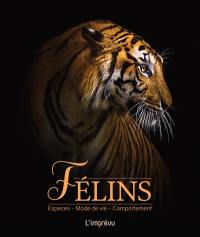 Félins : espèces, mode de vie, comportement