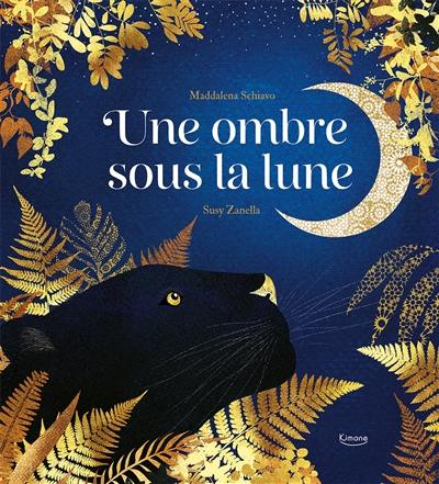 Une ombre sous la Lune