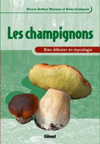 Les champignons : bien débuter en mycologie