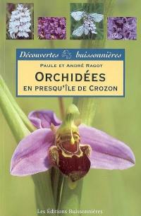 Orchidées en Presqu'île de Crozon