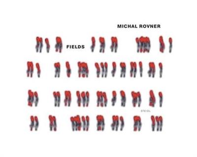 Michal Rovner Fields