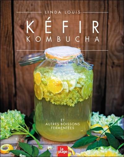 Kéfir, kombucha et autres boissons fermentées