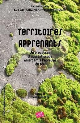 Territoires apprenants : un processus d'apprentissage émergent à l'épreuve du réel