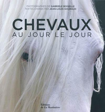 Chevaux : au jour le jour